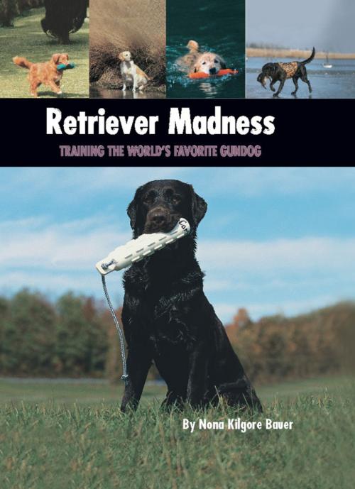 Cover of the book Retriever Madness by Nona Kilgore Bauer, CompanionHouse Books