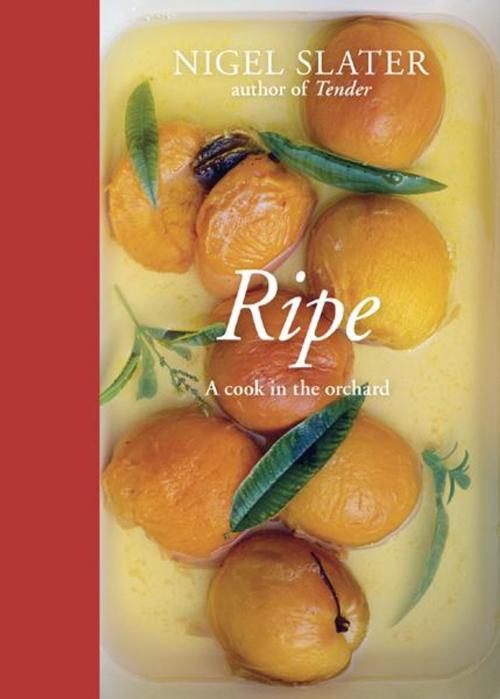 Cover of the book Ripe by Nigel Slater, Potter/Ten Speed/Harmony/Rodale