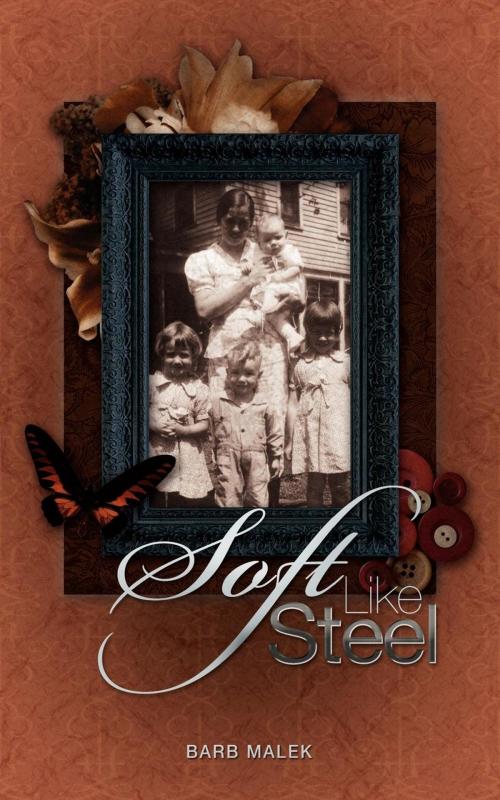 Cover of the book Soft Like Steel by Barb Malek, WriteLife Publishing