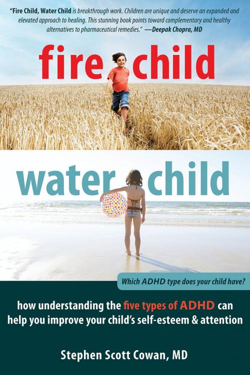 Cover of the book Fire Child, Water Child by Stephen Cowan, MD FAAP, New Harbinger Publications
