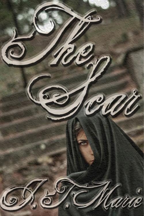 Cover of the book The Scar by J.T. Marie, Queerteen Press