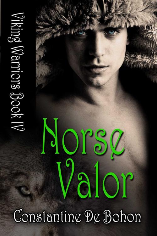 Cover of the book Norse Valor by Constantine De Bohon, Torrid Books