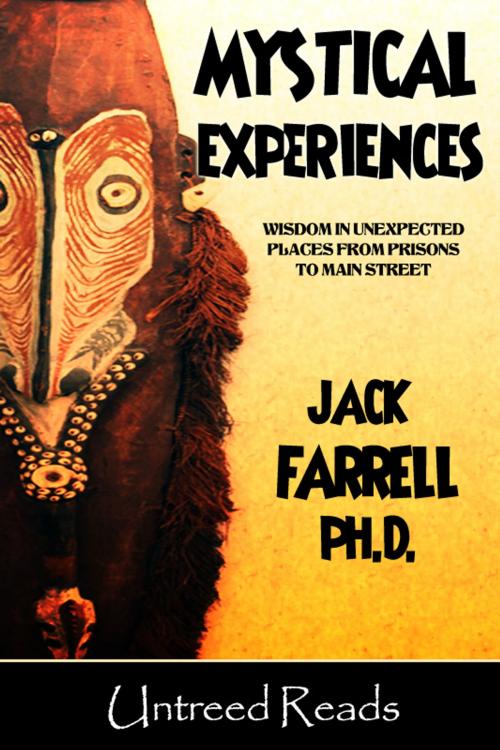 Cover of the book Mystical Experiences by Jack Farrell, Untreed Reads