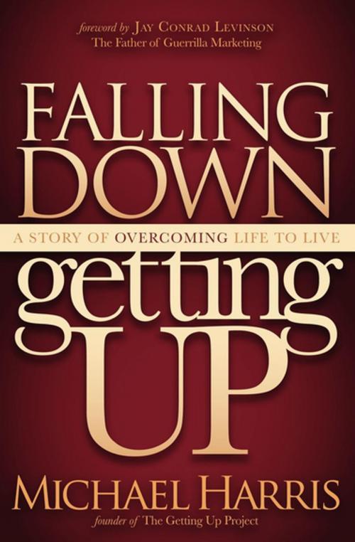 Cover of the book Falling Down Getting Up by Michael Harris, Morgan James Publishing