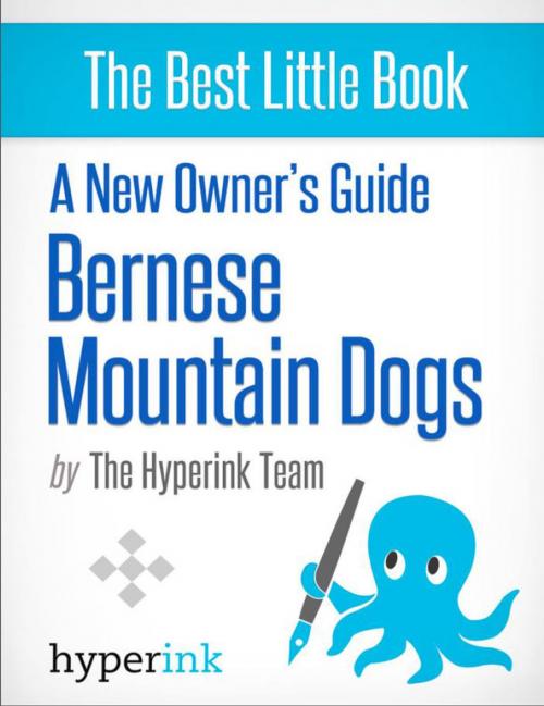 Cover of the book A New Owner's Guide to Bernese Mountain Dogs by The Hyperink  Team, Hyperink