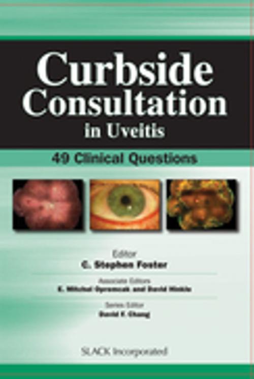 Cover of the book Curbside Consultation in Uveitis by , SLACK Incorporated