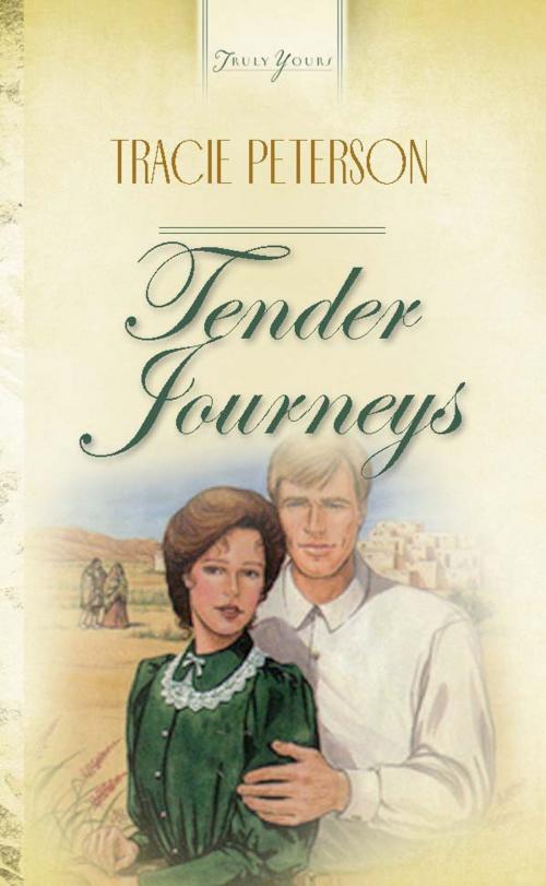 Cover of the book Tender Journeys by Janelle Jamison, Barbour Publishing, Inc.