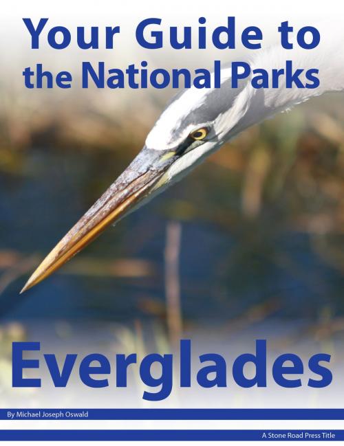 Cover of the book Your Guide to Everglades National Park by Michael Joseph Oswald, Stone Road Press