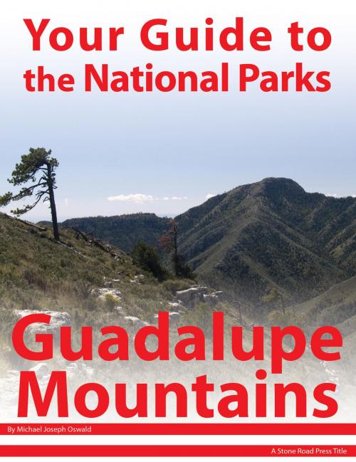 Cover of the book Your Guide to Guadalupe Mountains National Park by Michael Joseph Oswald, Stone Road Press