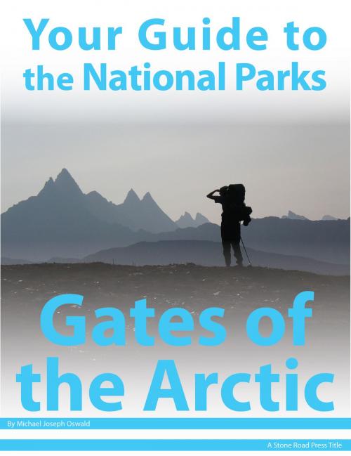 Cover of the book Your Guide to Gates of the Arctic National Park by Michael Joseph Oswald, Stone Road Press
