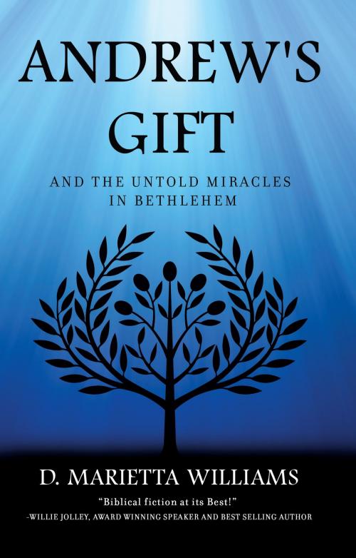 Cover of the book Andrew's Gift by D. Marietta Williams, Langdon Street Press