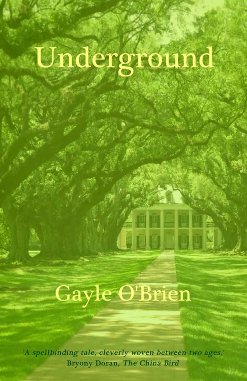 Cover of the book Underground by Gayle O'Brien, Start Publishing LLC