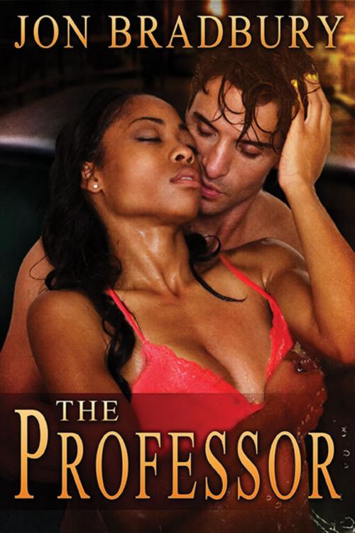 Cover of the book The Professor by Jon Bradbury, eXtasy Books Inc