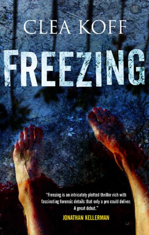 Cover of the book Freezing by Clea Koff, Severn House Publishers