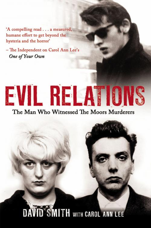 Cover of the book Evil Relations (formerly published as Witness) by David Smith, Carol Ann Lee, Mainstream Publishing