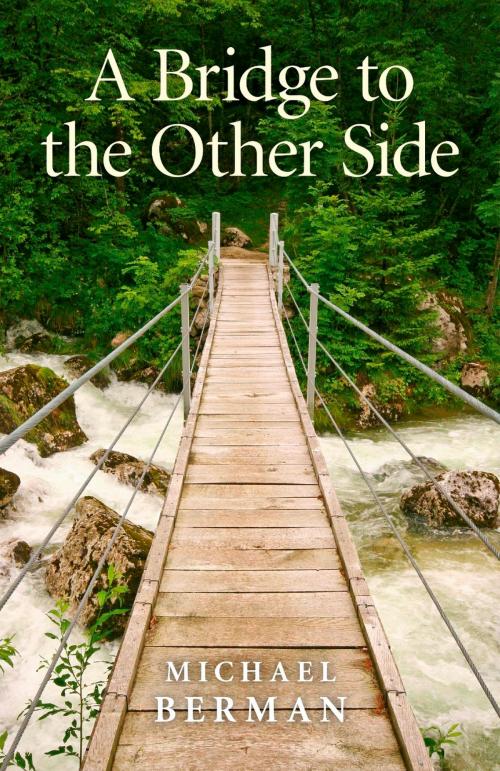 Cover of the book A Bridge to the Other Side by Michael P. Berman, John Hunt Publishing