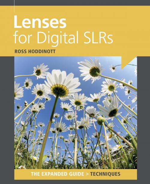 Cover of the book Lenses for Digital SLRs by Ross Hoddinott, Ammonite Press
