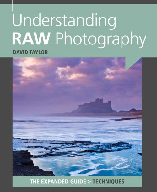 Cover of the book Understanding RAW Photography by David Taylor, Ammonite Press