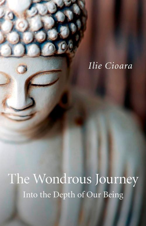 Cover of the book The Wondrous Journey by Ilie Cioara, John Hunt Publishing