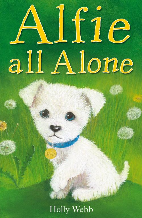 Cover of the book Alfie All Alone by Holly Webb, Stripes Publishing