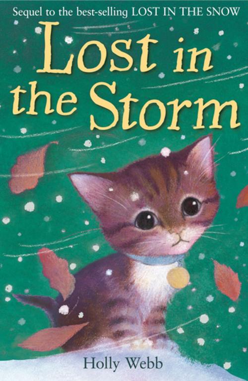 Cover of the book Lost in the Storm by Holly Webb, Stripes Publishing