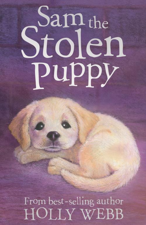 Cover of the book Sam the Stolen Puppy by Holly Webb, Sophy Williams Sophy Williams, Stripes Publishing