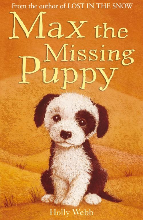 Cover of the book Max the Missing Puppy by Holly Webb, Stripes Publishing