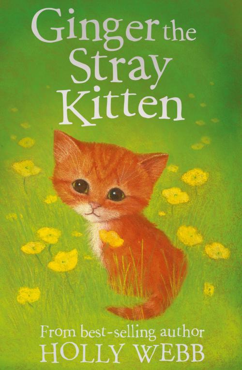 Cover of the book Ginger the Stray Kitten by Holly Webb, Stripes Publishing