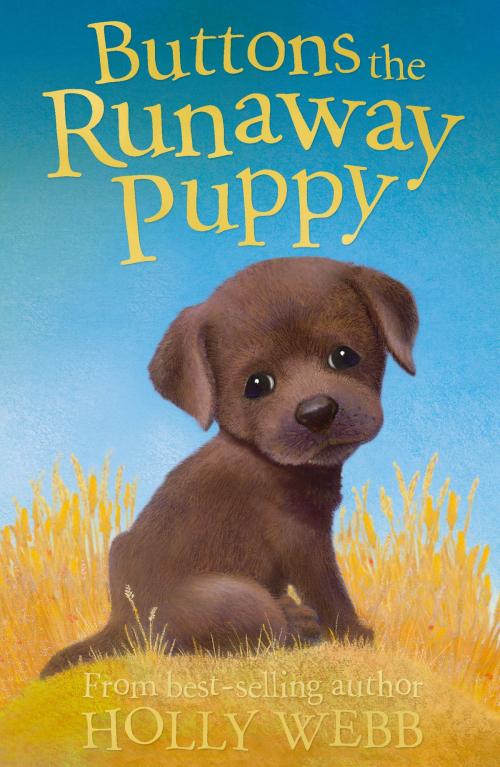 Cover of the book Buttons the Runaway Puppy by Holly Webb, Stripes Publishing