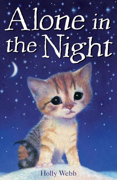 Cover of the book Alone in the Night by Holly Webb, Stripes Publishing