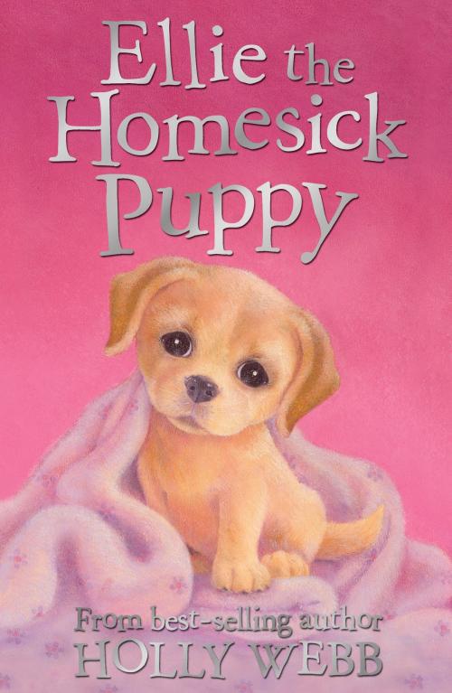 Cover of the book Ellie the Homesick Puppy by Holly Webb, Stripes Publishing