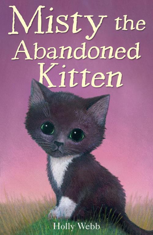 Cover of the book Misty the Abandoned Kitten by Holly Webb, Stripes Publishing