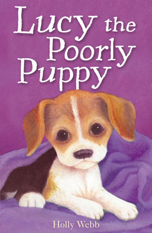 Cover of the book Lucy the Poorly Puppy by Holly Webb, Stripes Publishing