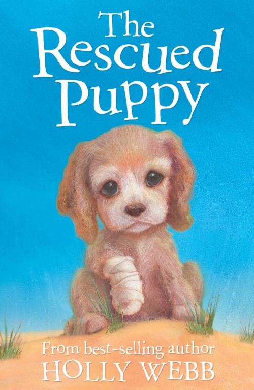 Cover of the book The Rescued Puppy by Holly Webb, Sophy Williams Sophy Williams, Stripes Publishing
