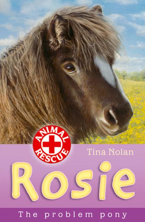 Cover of the book Rosie the problem pony by Tina Nolan, Stripes Publishing