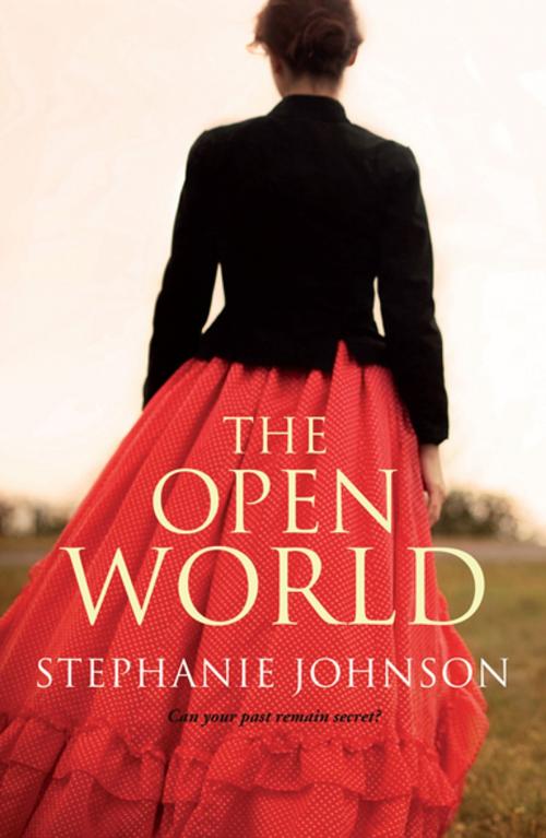 Cover of the book The Open World by Stephanie Johnson, Penguin Random House New Zealand