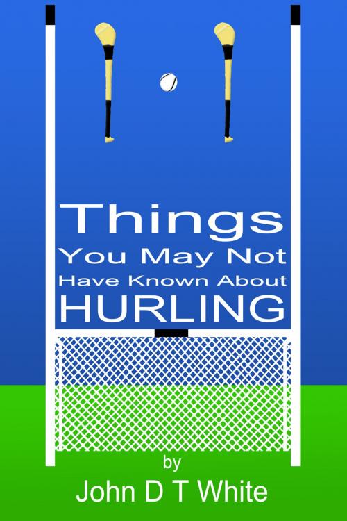 Cover of the book 101 Things You May Not Have Known About Hurling by John DT White, Andrews UK