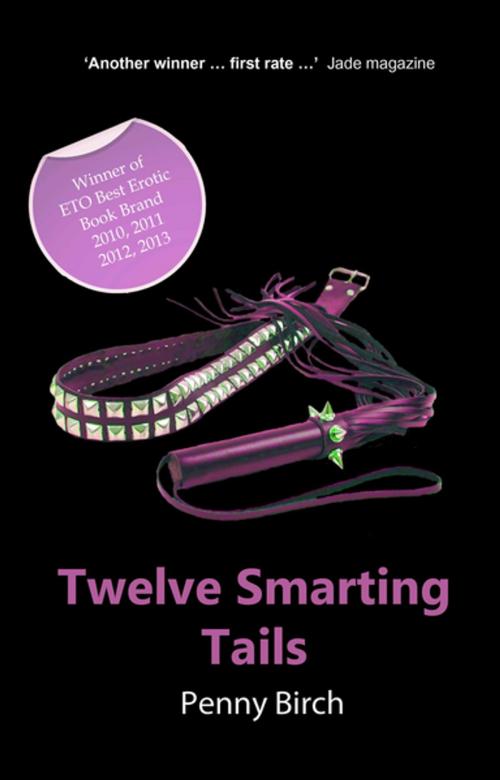 Cover of the book Twelve Smarting Tails by Penny Birch, Xcite Books