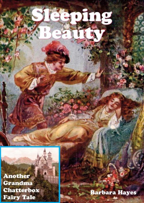Cover of the book Sleeping Beauty: Another Grandma Chatterbox Fairy Tale by Barbara Hayes, Bretwalda Books