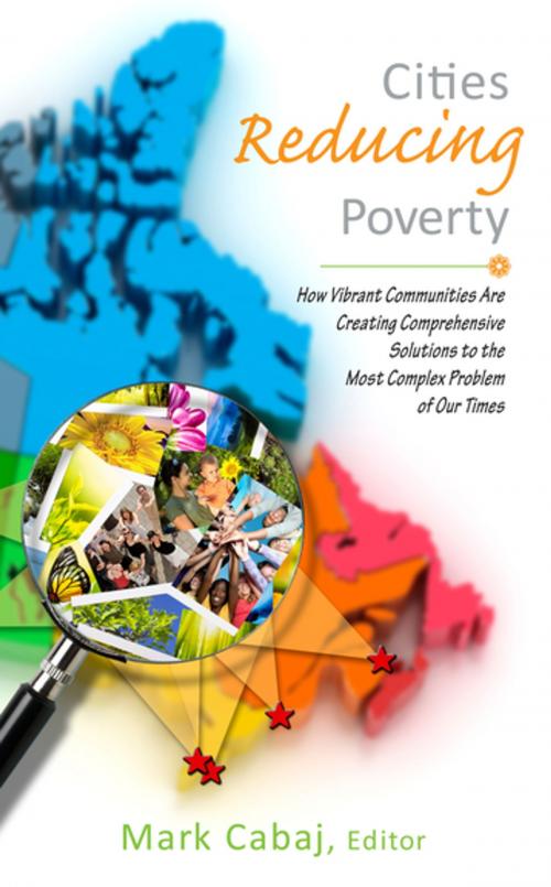 Cover of the book Cities Reducing Poverty by Mark Cabaj, BPS Books