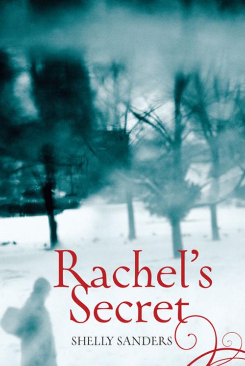 Cover of the book Rachel's Secret by Shelly Sanders, Second Story Press