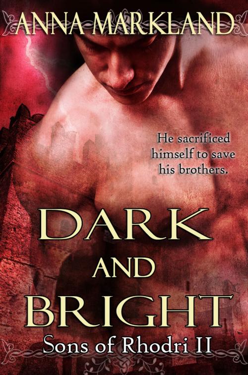 Cover of the book Dark and Bright by Anna Markland, BleuBelle Press