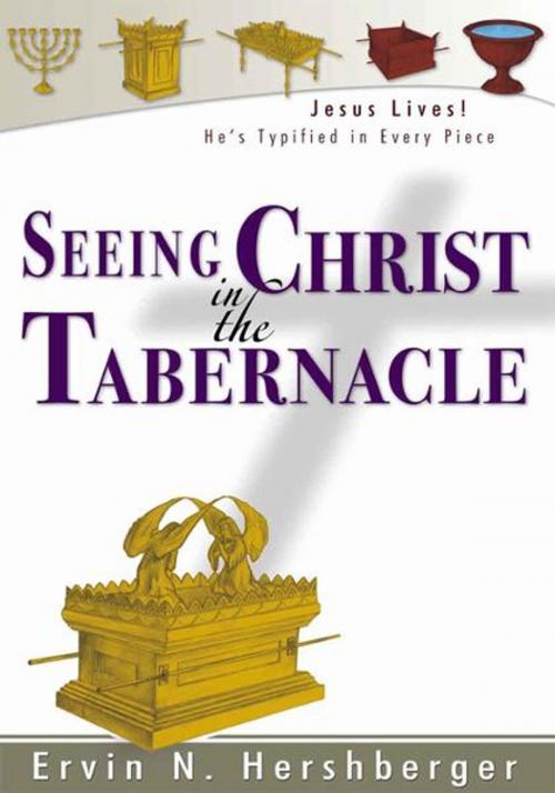 Cover of the book Seeing Christ in the Tabernacle by Ervin N. Hershberger, Vision Publishers LLC