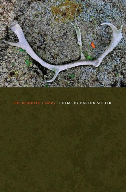 Cover of the book The Reindeer Camps by Barton Sutter, BOA Editions Ltd.