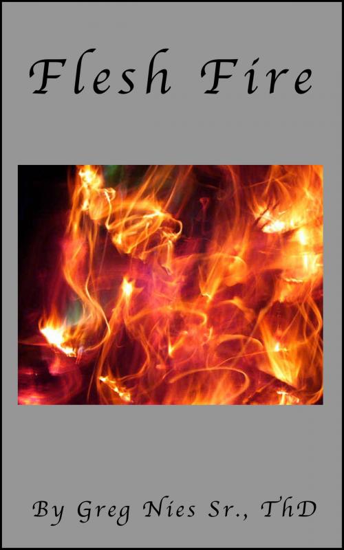 Cover of the book Flesh Fire by Bishop Greg Nies Sr., Th.D., Bishop Greg Nies Sr., Th.D.