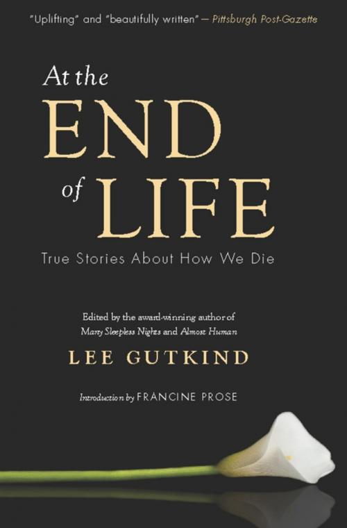 Cover of the book At the End of Life by , Fourth Chapter Books