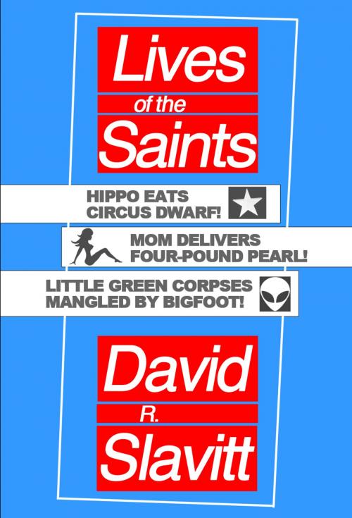 Cover of the book Lives of the Saints by David R. Slavitt, Outpost19