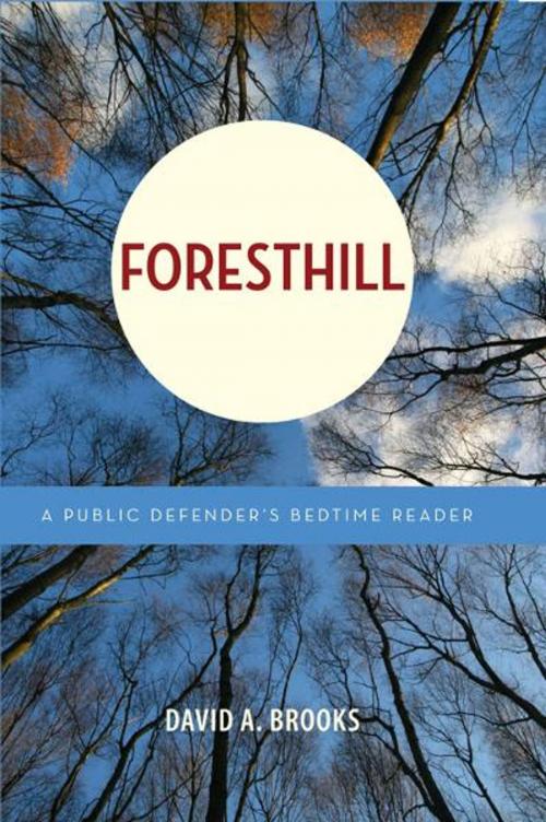 Cover of the book Foresthill by Brooks, David A., Worthy Shorts