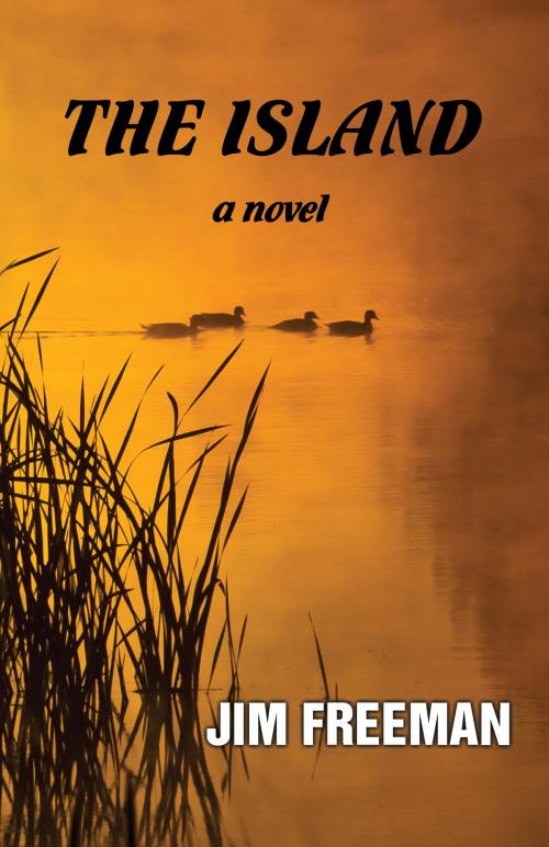 Cover of the book The Island by Jim Freeman, Barkley Press