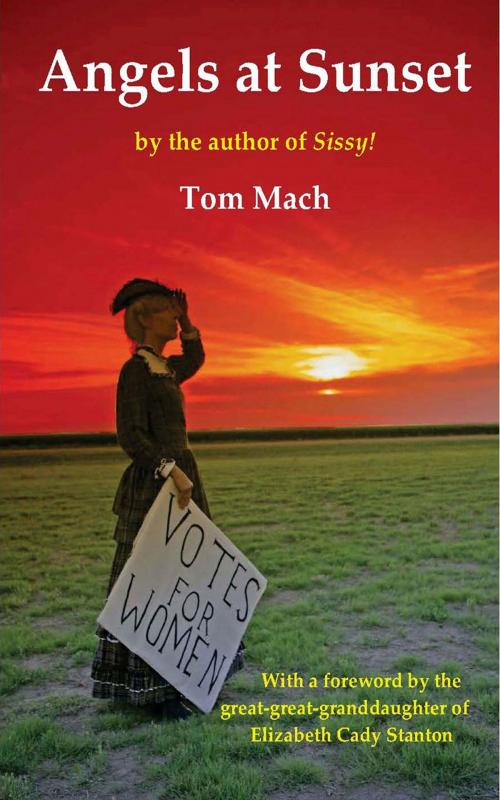 Cover of the book Angels At Sunset by Tom Mach, Tom Mach